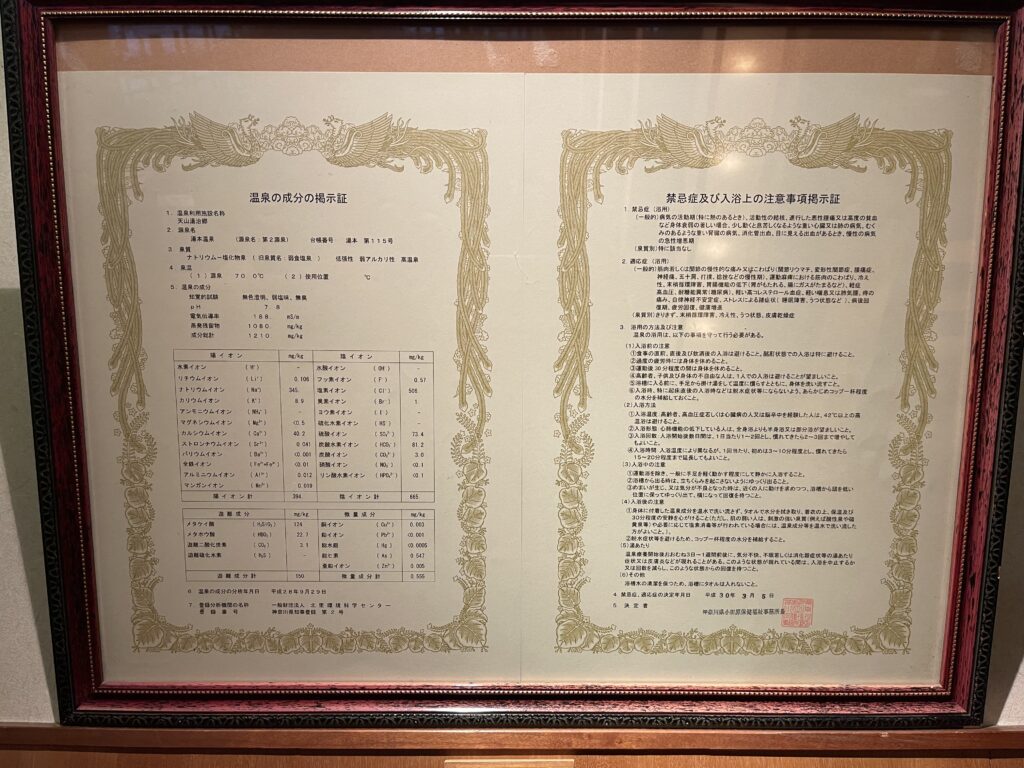 天山湯治郷