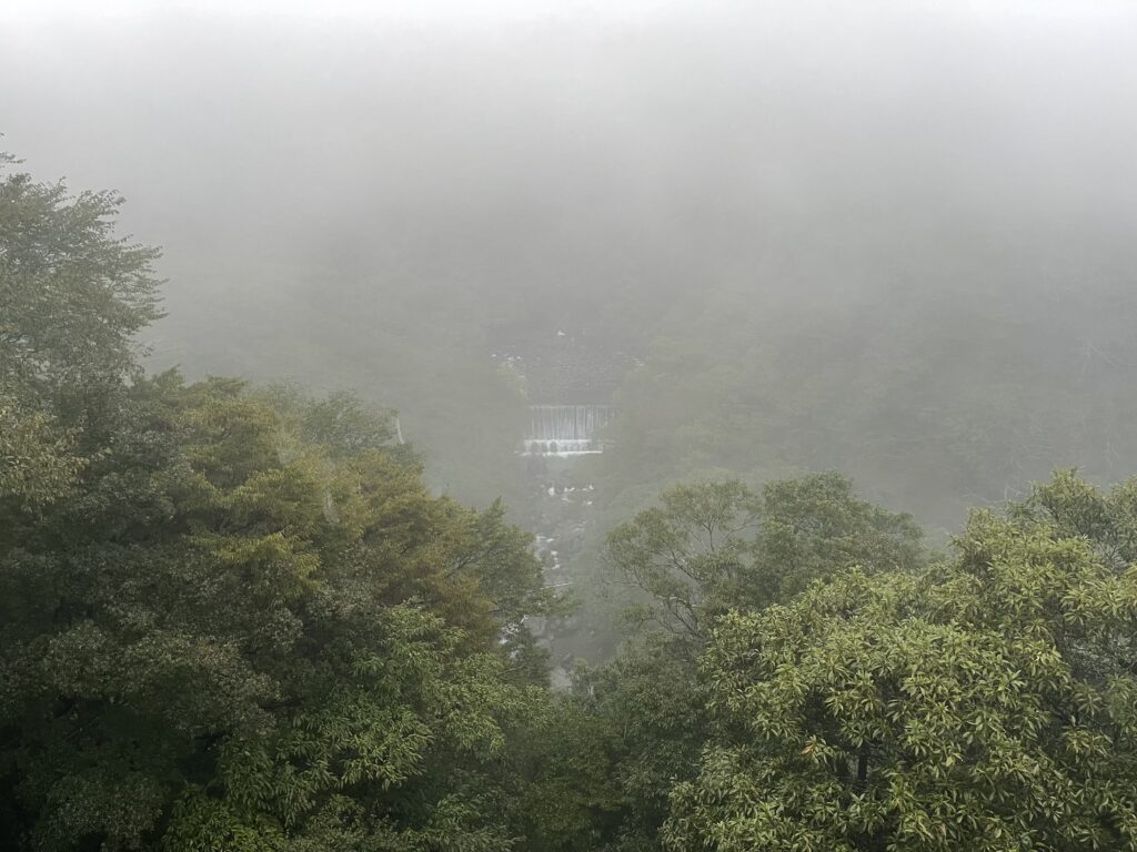 箱根自然薯の森 山薬